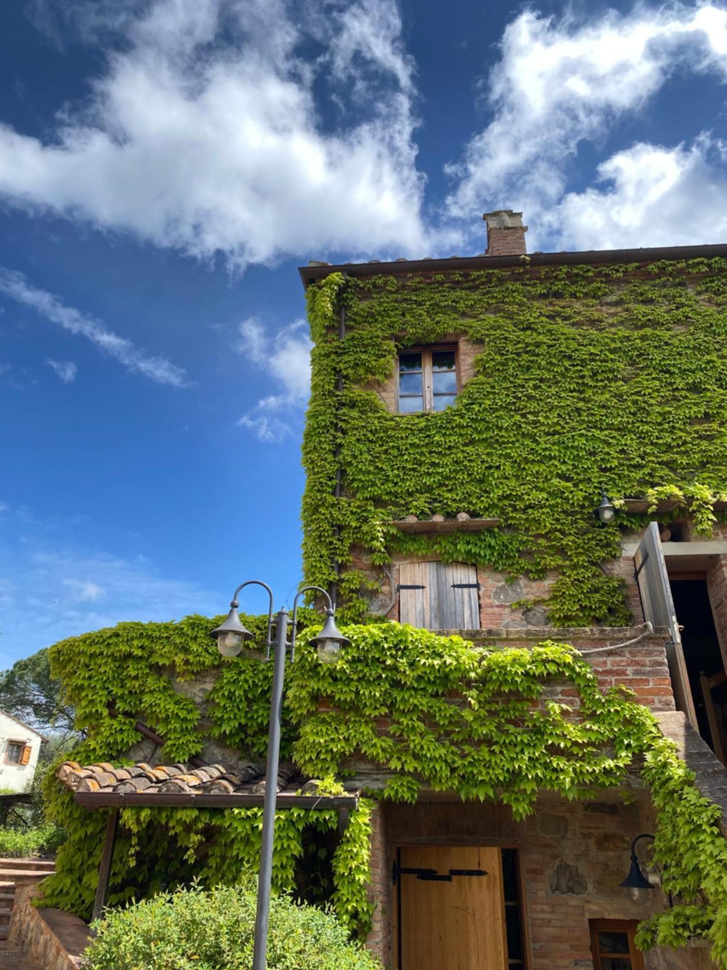 Agriturismo Borgo 7 Tigli - Apt 1 Montepulciano Stazione エクステリア 写真